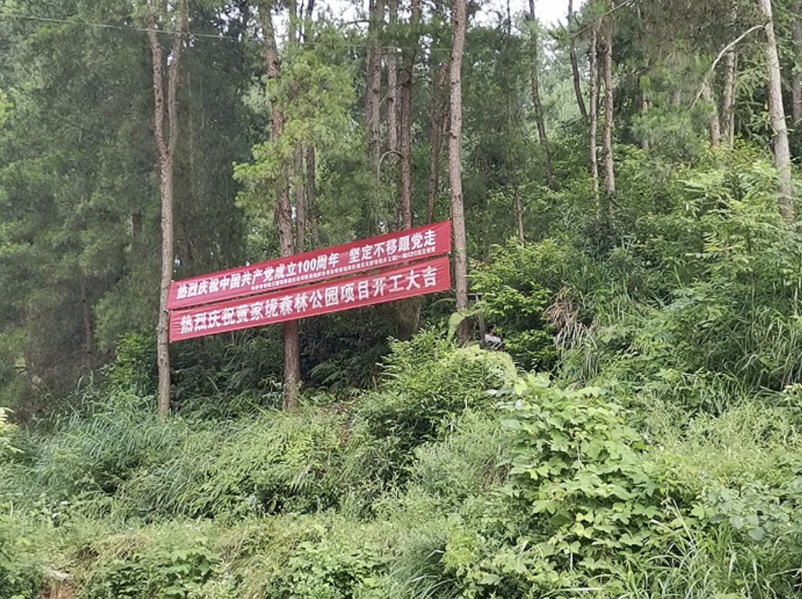 1625210025211.jpg 1625210025211.jpg